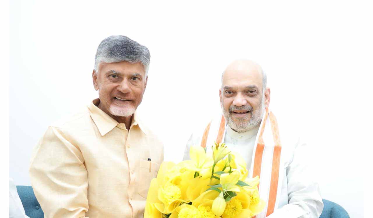 NDA finalises seat-sharing in AP: BJP gets 6 LS, 10 assembly seats; TDP 17 and 144