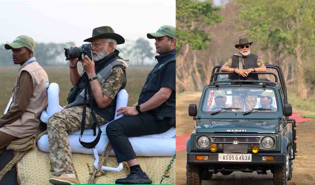 PM Modi takes safari in Kaziranga National Park