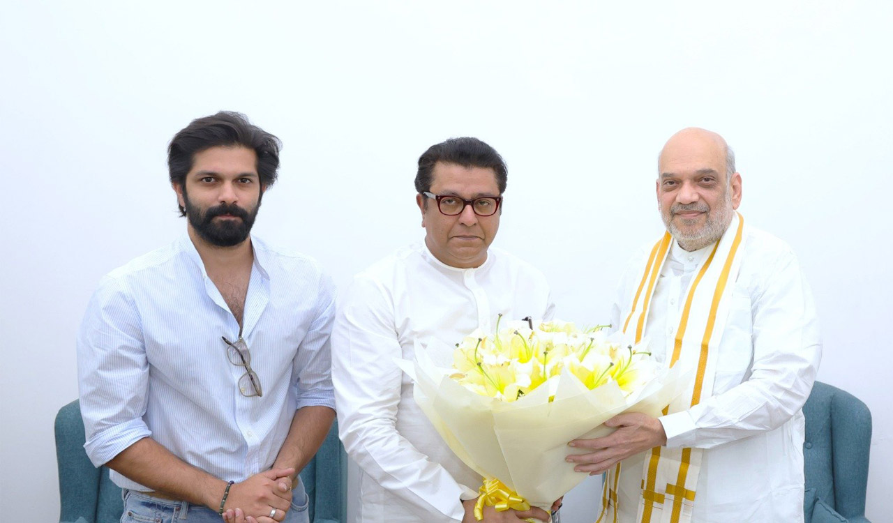 Raj Thackeray meets Amit Shah