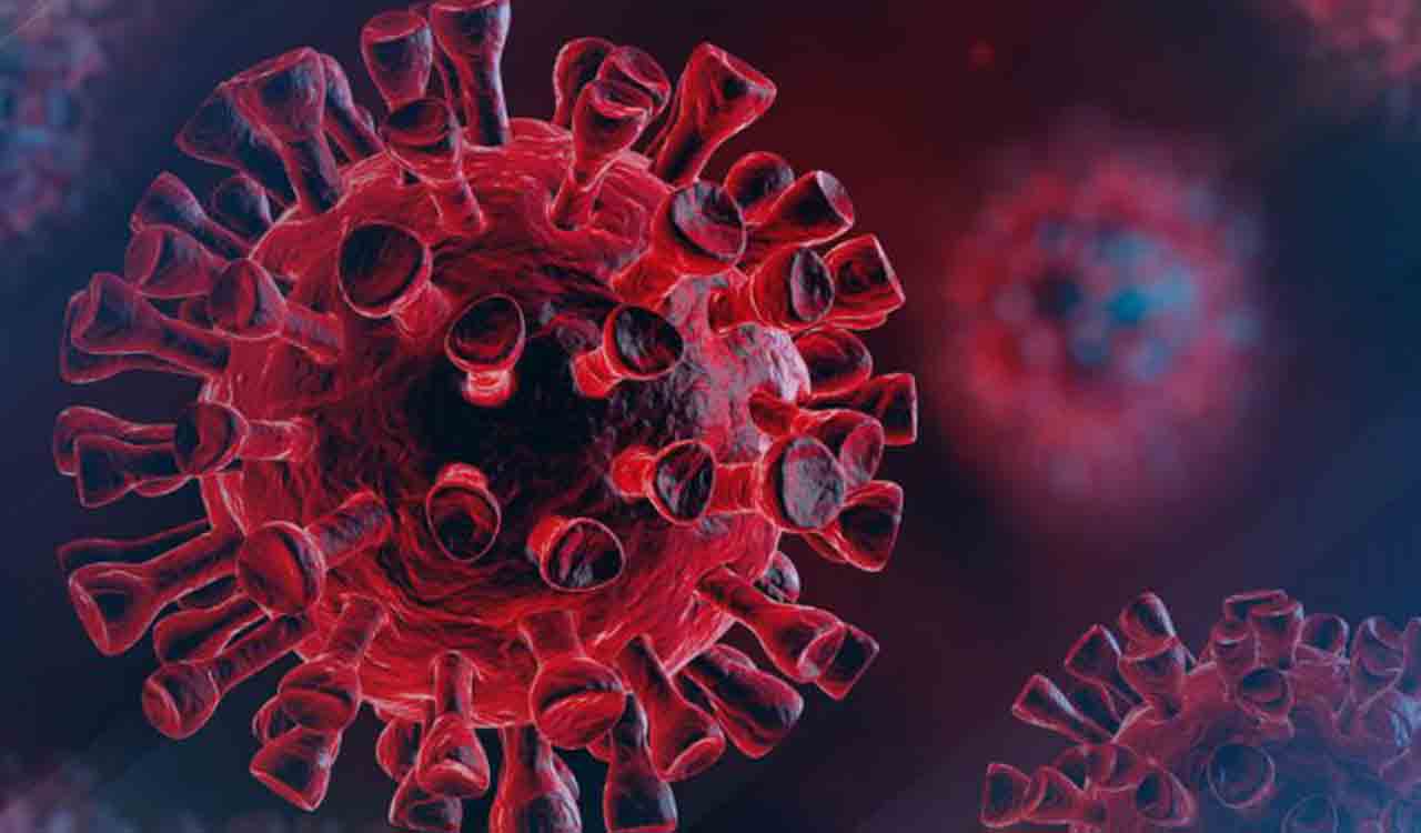 Persistent Covid infections may be more common than thought: Study