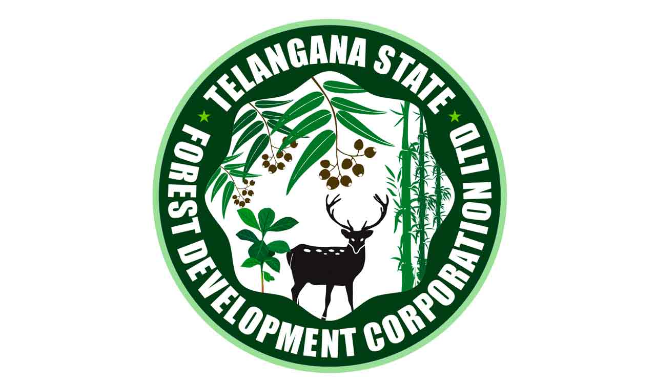 TSFDC plans scenic eco projects in forests