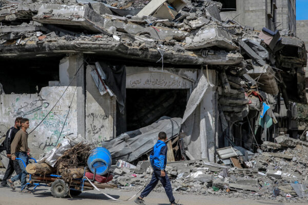 80 killed in Gaza in 24 hours as Israel continues genocidal war