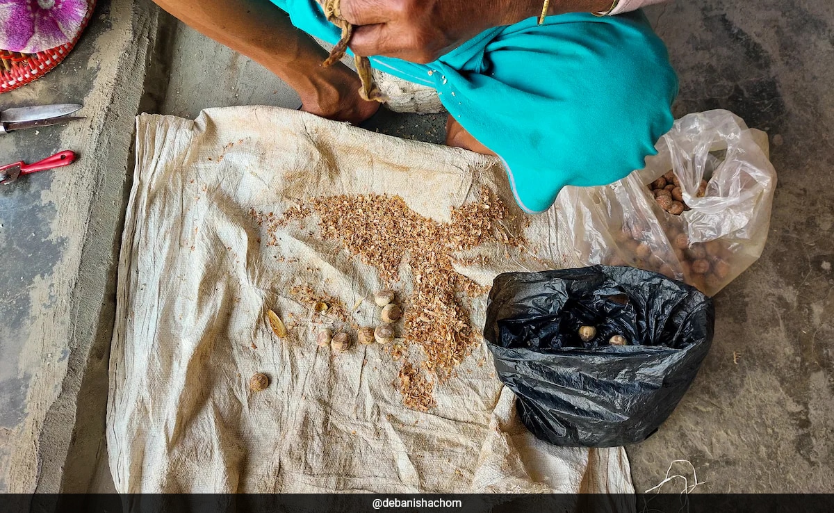 How Women Lead By Example In Manipur Relief Camp That's Also A School