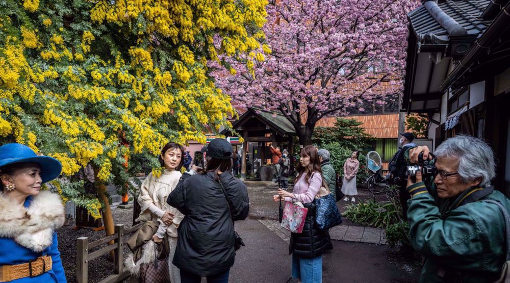 Mysterious, dangerous bacteria infections spreading in Japan