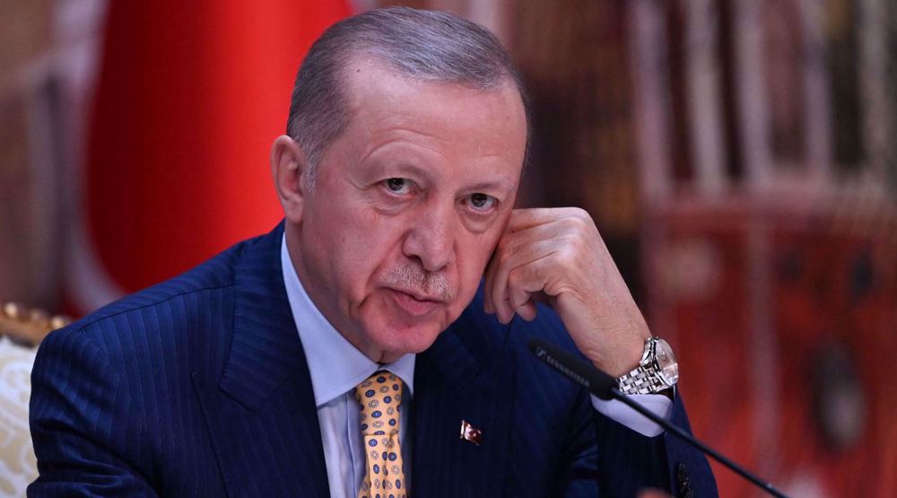 Muslim states failed to stop Israeli massacre of Palestinians in Gaza: Erdogan