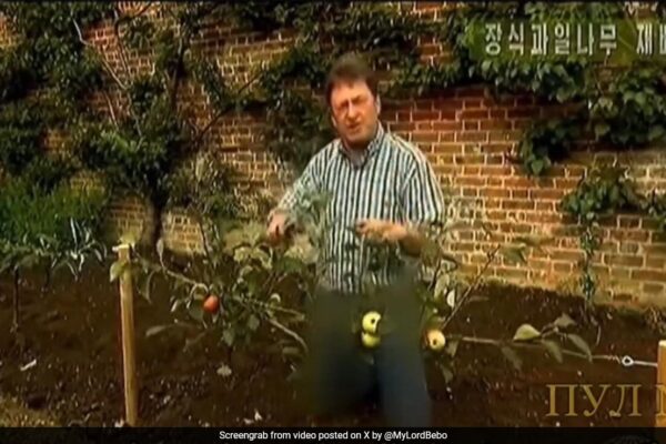 North Korea TV Censors British Gardening Show Presenter's Trousers