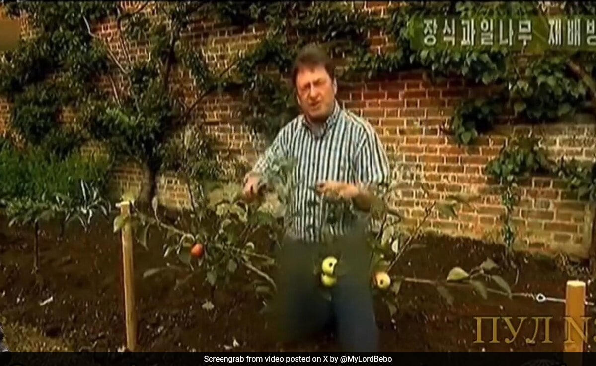 North Korea TV Censors British Gardening Show Presenter's Trousers