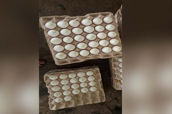 Complaints over poor quality eggs, rations to children, women