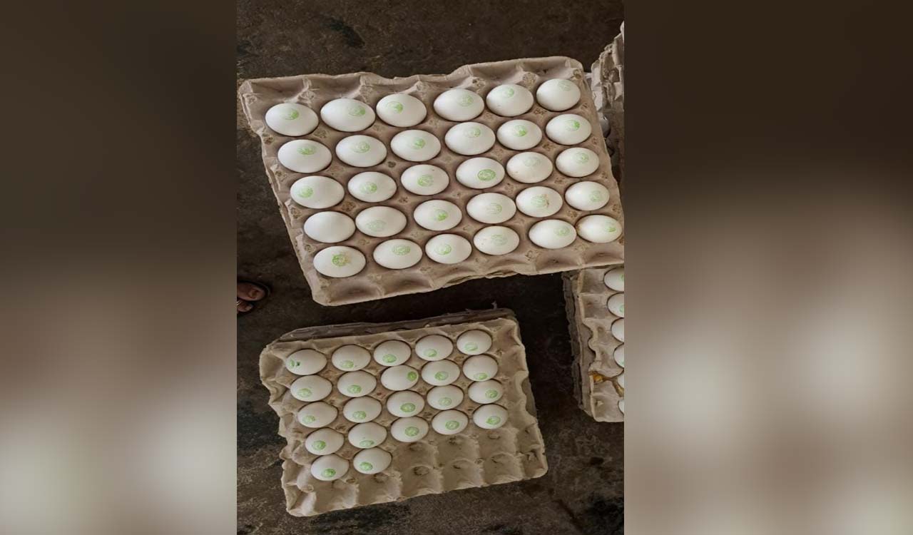 Complaints over poor quality eggs, rations to children, women