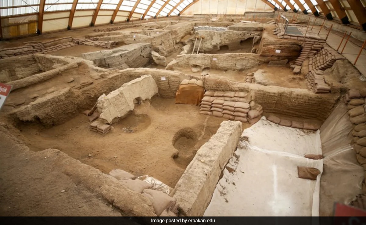 World's Oldest Bread Found in Turkey, Dating Back 8,600 Years