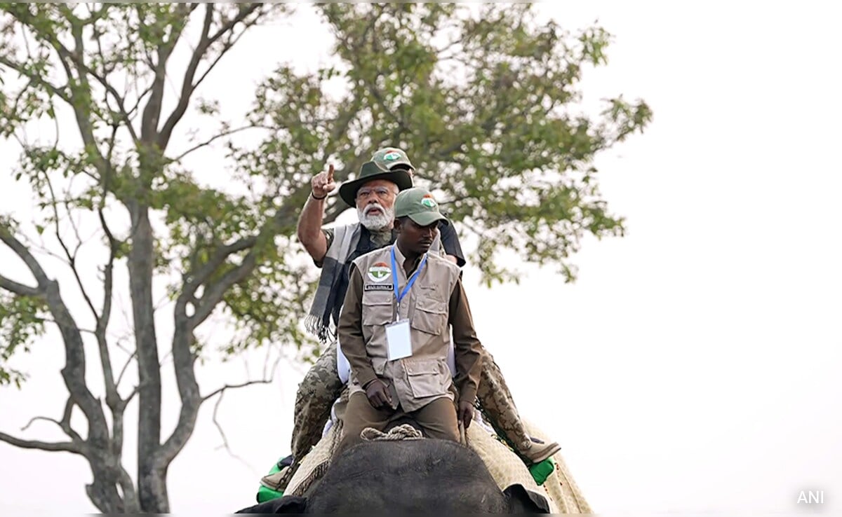 Watch: PM Modi Shares Glimpses From "Memorable Visit To Kaziranga"