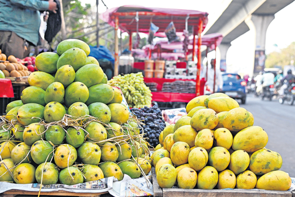 Crackdown on unapproved mango ripening methods in Hyderabad markets