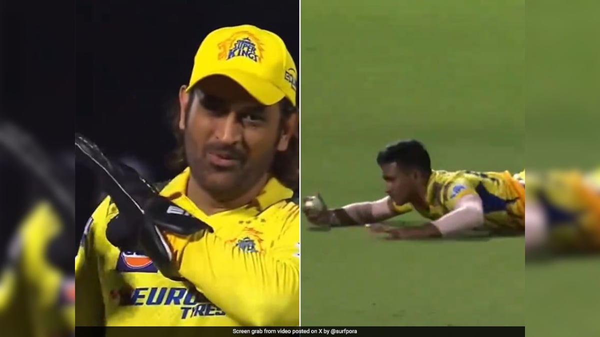 Watch: Dhoni Can't Help But Applaud CSK Star's Flying Catch Of Warner