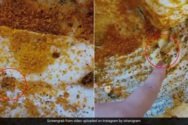 Video: Cockroach Infested Dosa At Delhi Cafe Sparks Outrage