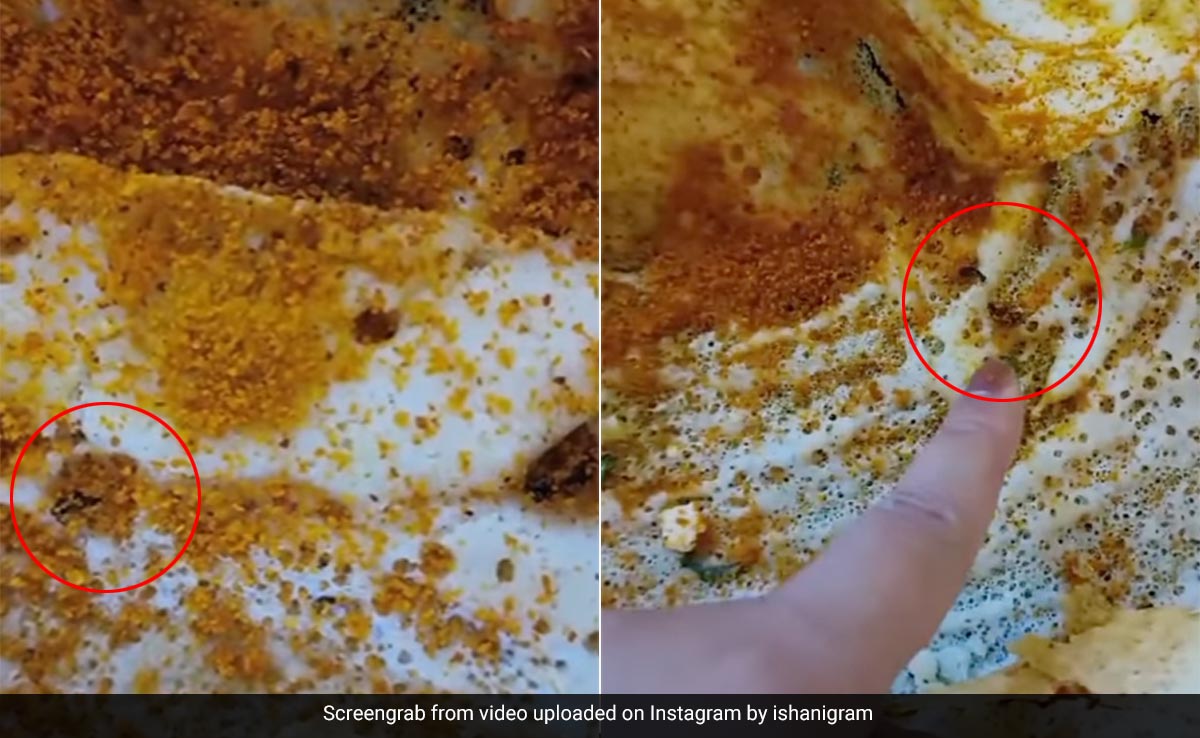 Video: Cockroach Infested Dosa At Delhi Cafe Sparks Outrage