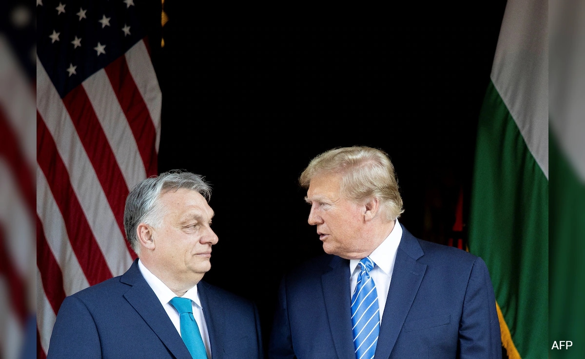 Trump Won't "Give A Penny To Ukraine", Claims Hungary PM