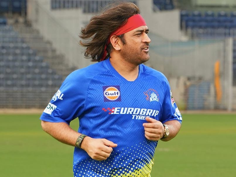 Warner Gives Million-Dollar Reaction To Dhoni's New Look Ahead Of IPL 2024