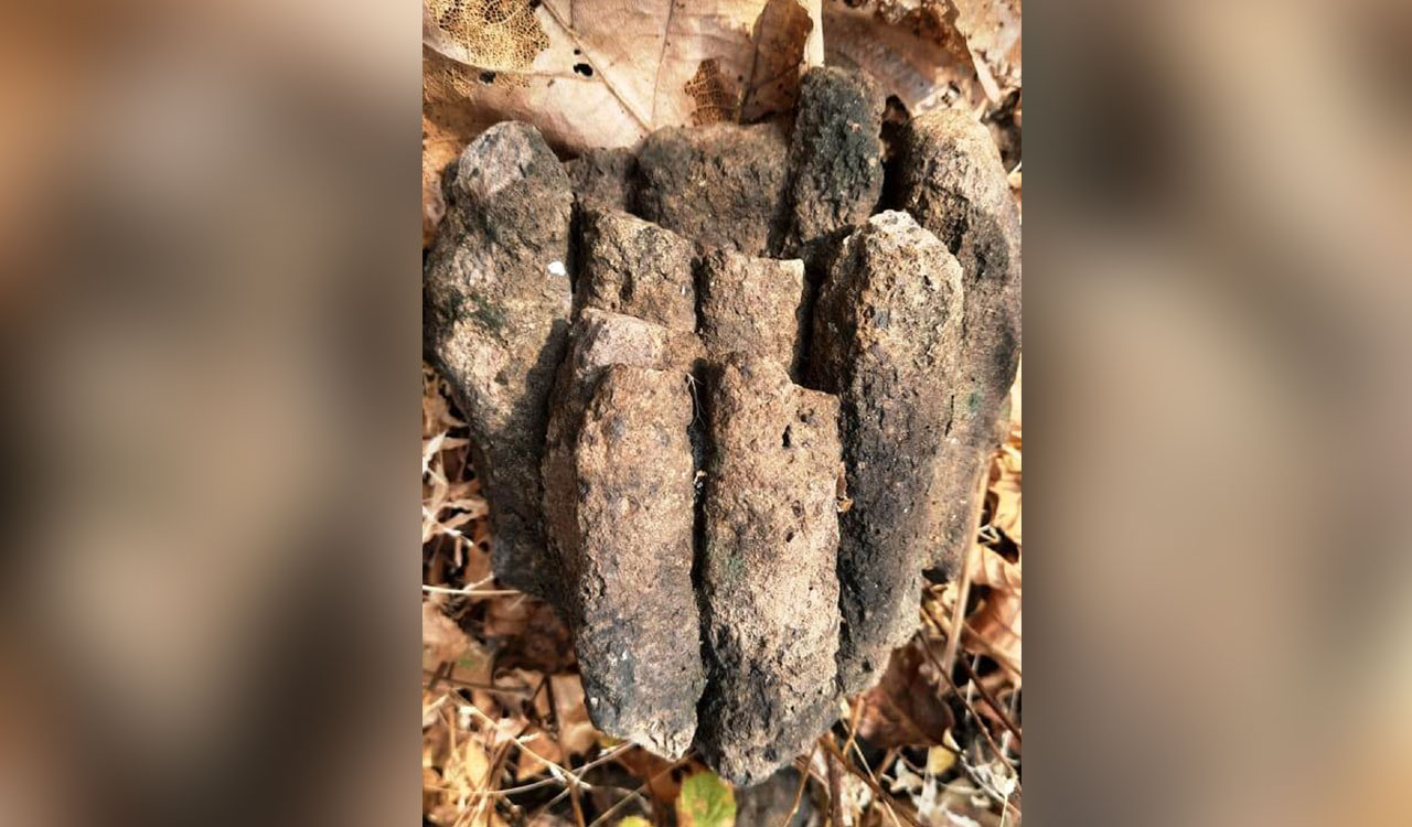 65 million-year-old columnar basalt rocks discovered in Telangana