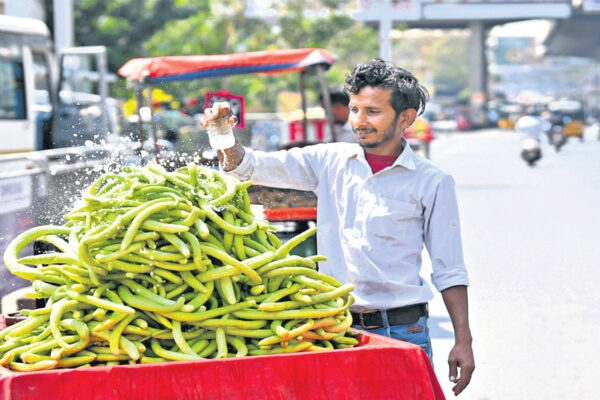 Telangana braces for a long summer, temperature in city and rural areas touch 40 degrees Celsius