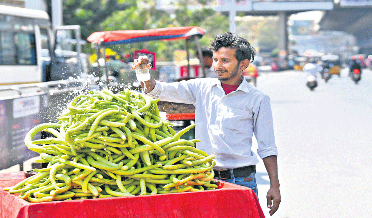 Telangana braces for a long summer, temperature in city and rural areas touch 40 degrees Celsius