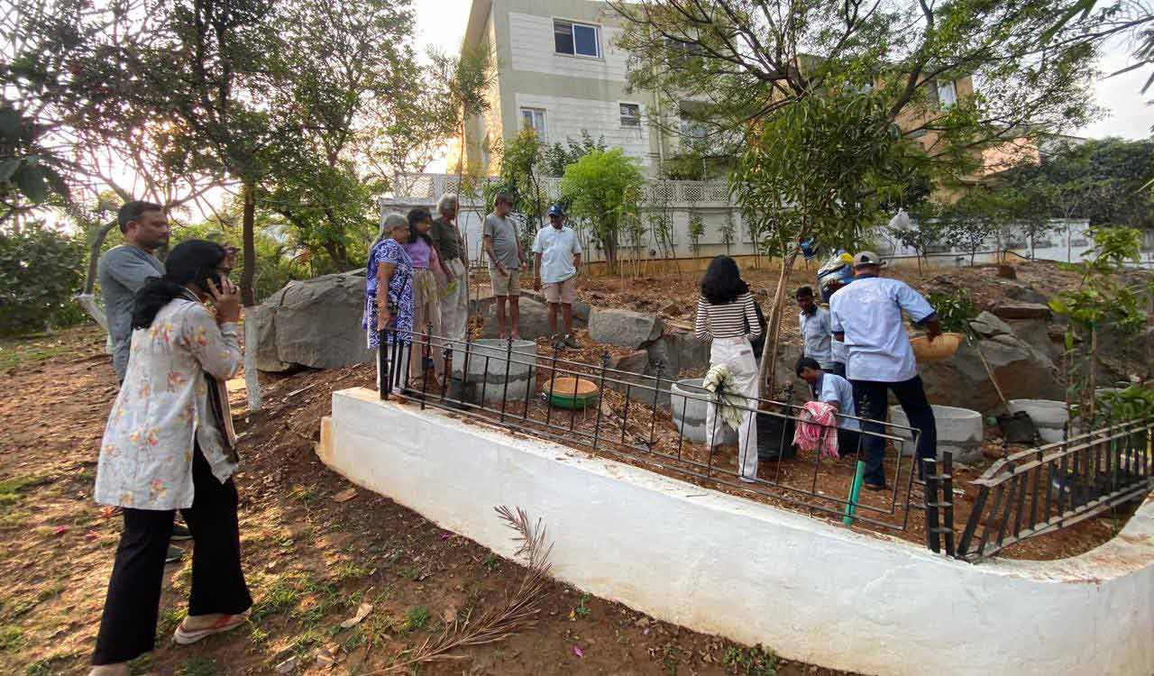 Hyderabad doctor leads tree plantation drive, adds 200 trees to community