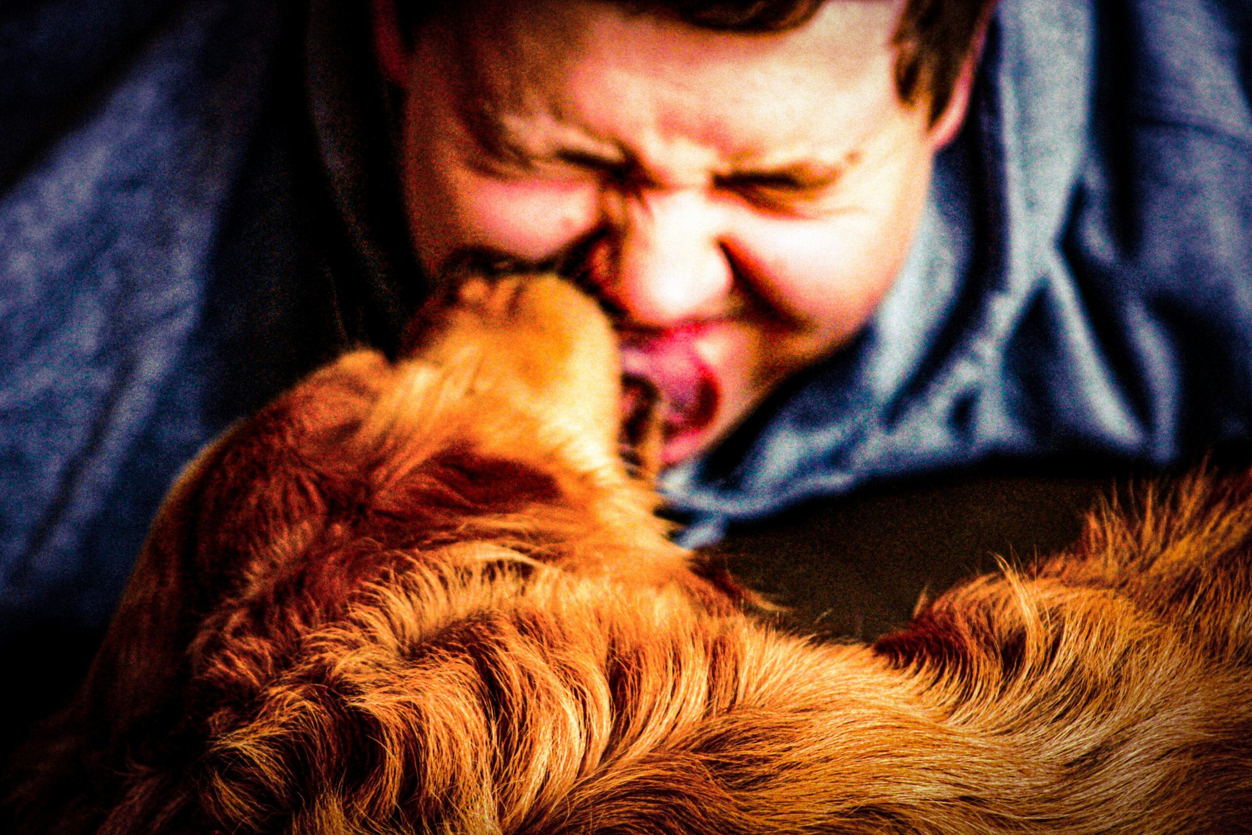 Dogs Licking Owners' Face Is Not Just Unhealthy, But Can Even Be Fatal