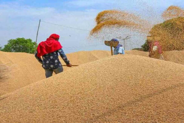 Punjab diverting wheat stocks to pvt mills, should cease and desist from practice: Goyal