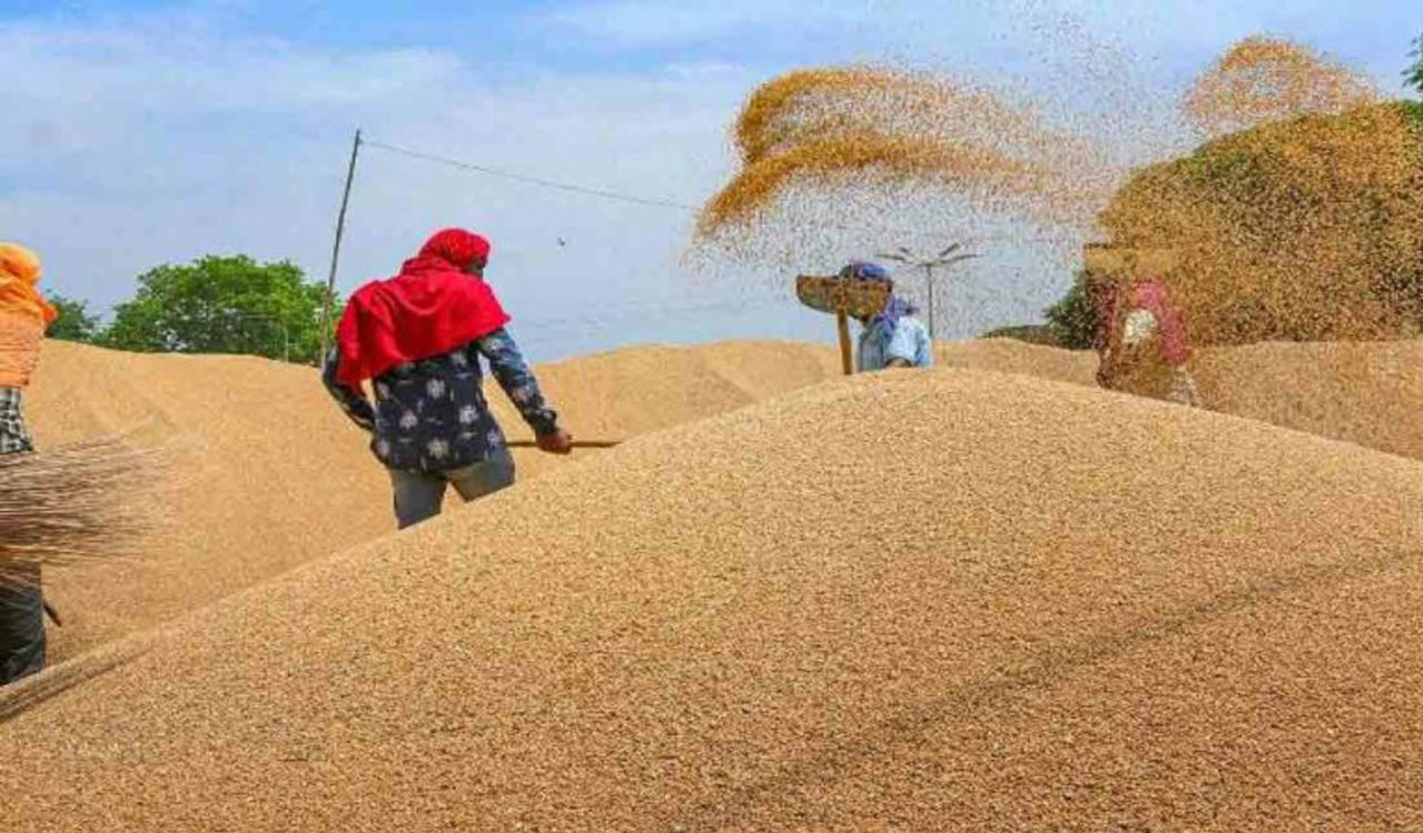 Punjab diverting wheat stocks to pvt mills, should cease and desist from practice: Goyal