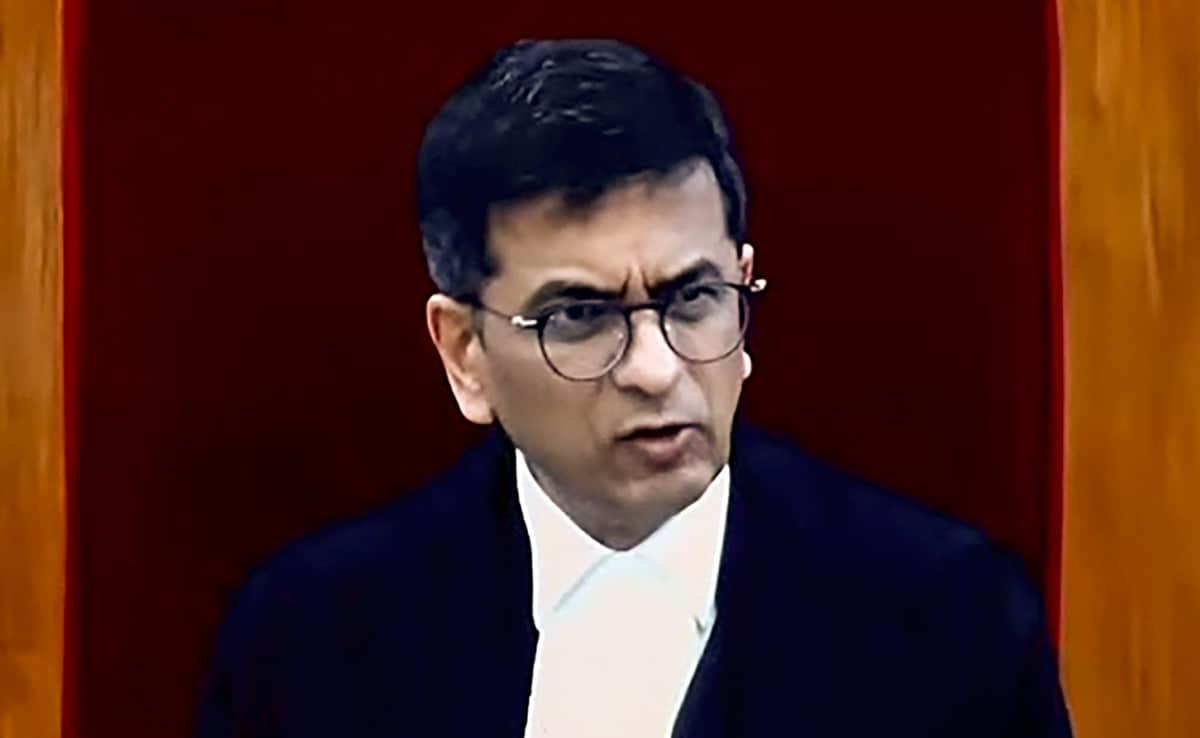 "I'm A Fan Of Whiskey": Chief Justice, Senior Lawyer's Courtroom Banter