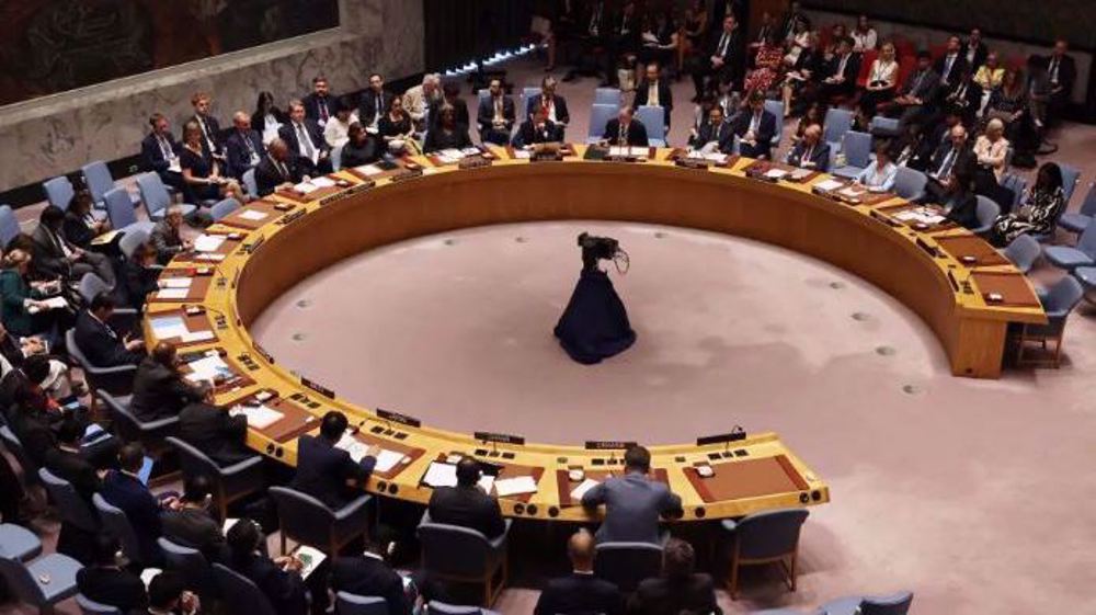 UNSC fails to reach consensus on Palestinian UN membership