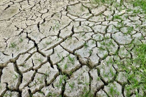 Over 200 mandals in Telangana face drought-like conditions