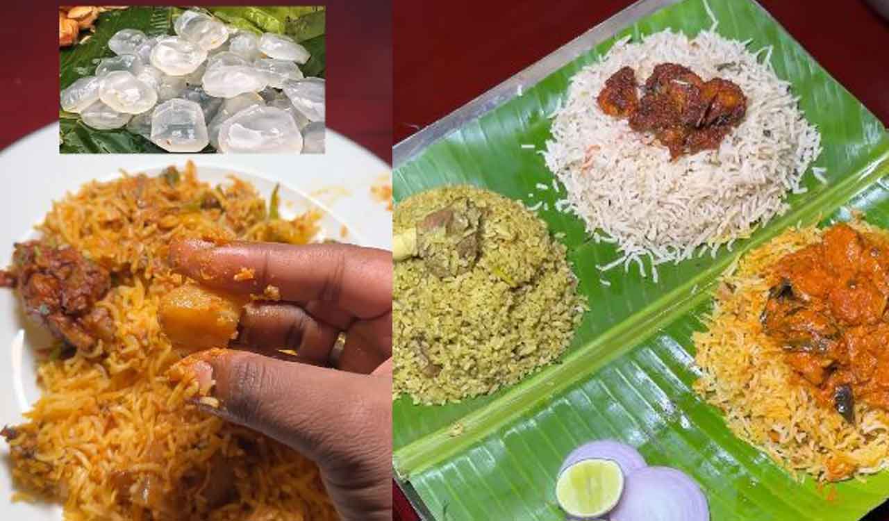 Ice Apple Biryani in Hyderabad irks internet