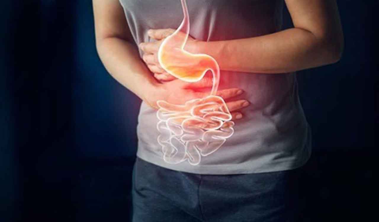 Irritable Bowel Syndrome: Why are young adults at high risk?