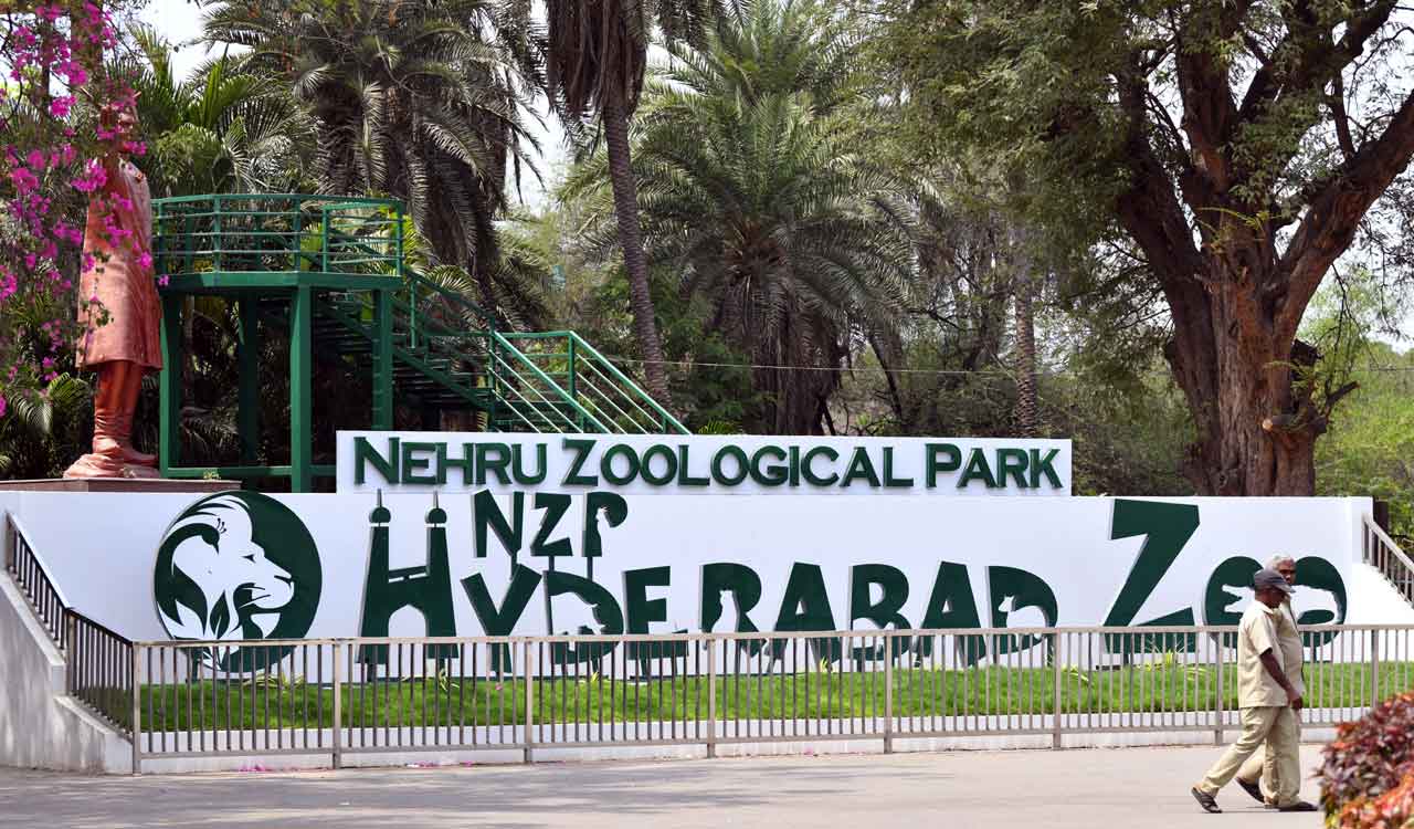 Hyderabad’s Nehru zoo family to grow bigger