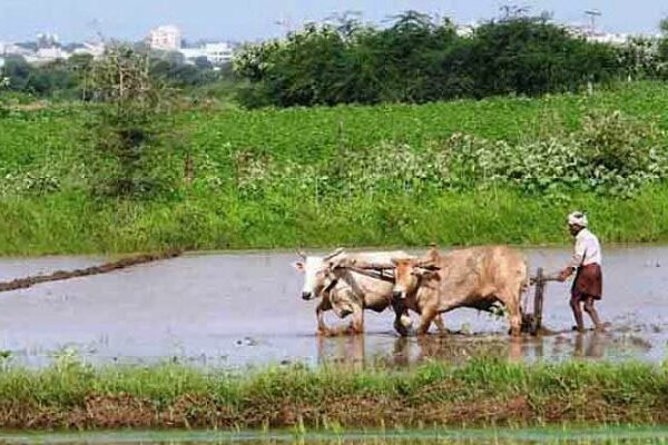 Telangana govt begins exercise to prepare modalities for Rythu Bharosa, crop loan waiver