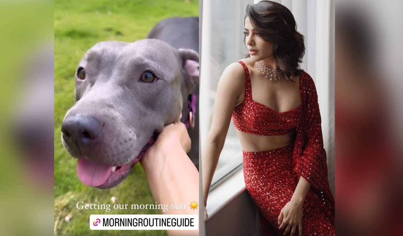 Samantha Ruth Prabhu joins furry friend Saasha in garden for morning sun