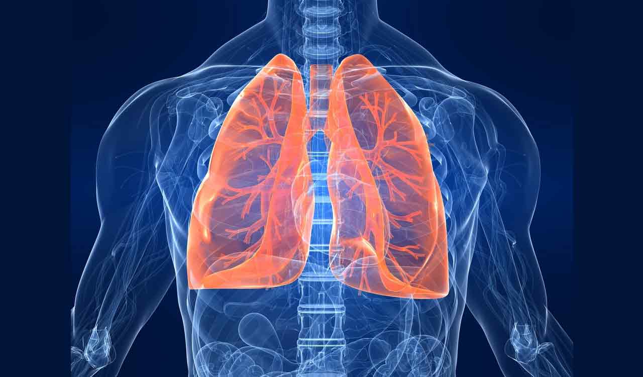 Study links colourless, odourless gas with the rise in lung cancers in non-smokers