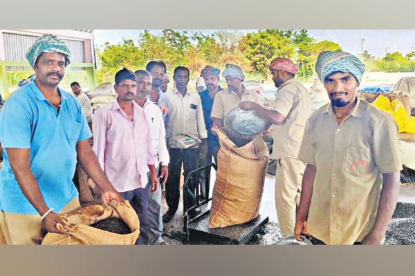 Sunflower procurement centres reopened