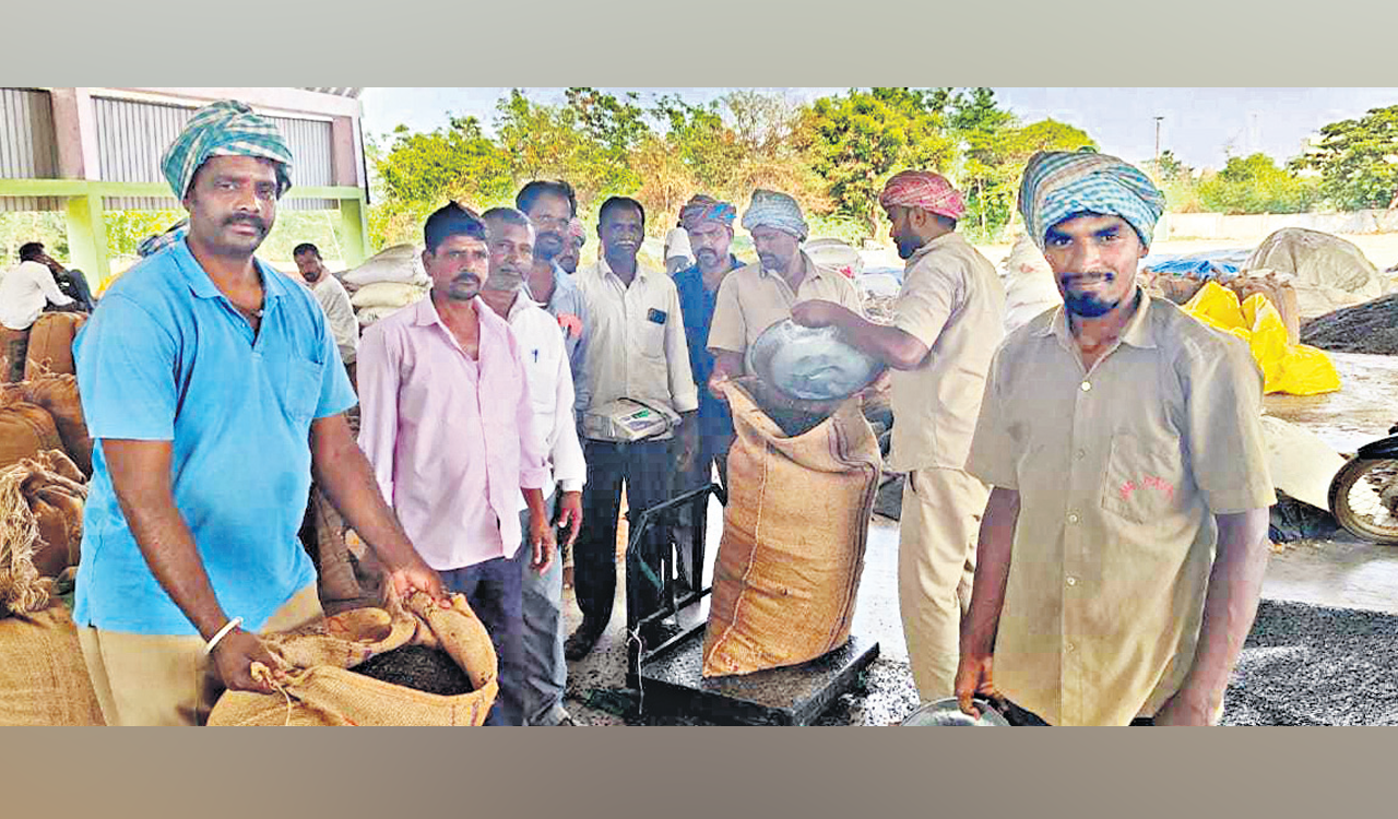 Sunflower procurement centres reopened