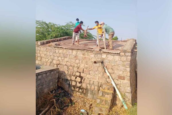 Telangana: 30 monkeys found dead in water tank in Nalgonda