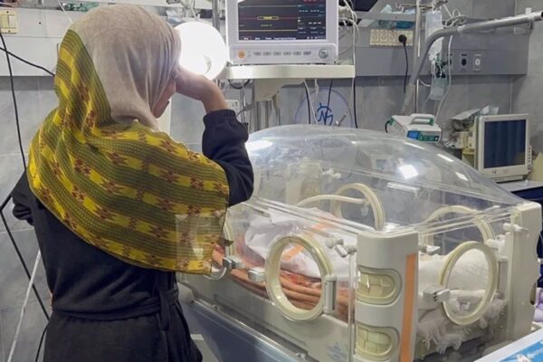 WHO reports sharp rise in newborn deaths in Gaza