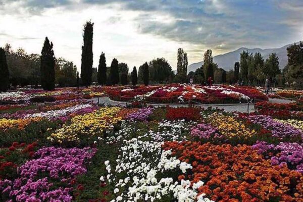 National Botanical Garden of Iran hosts visitors on day of nature