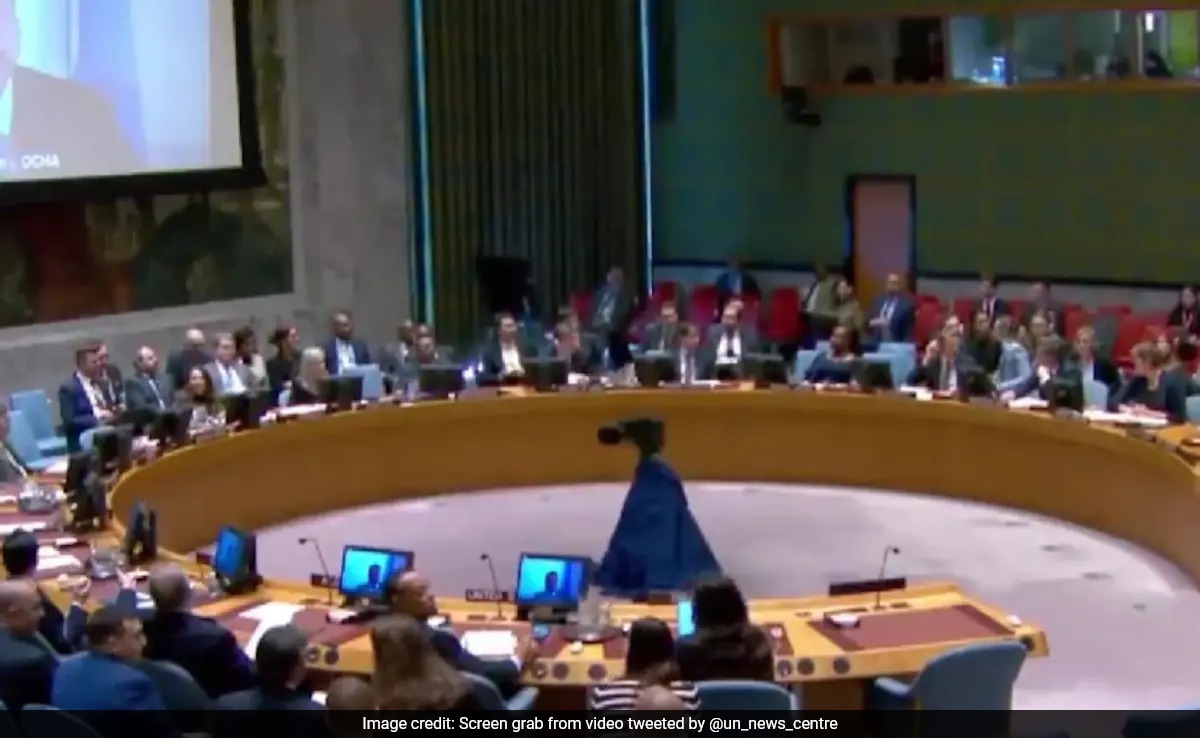 "You're Making Ground Shake": Earthquake Interrupts UN Briefing On Gaza