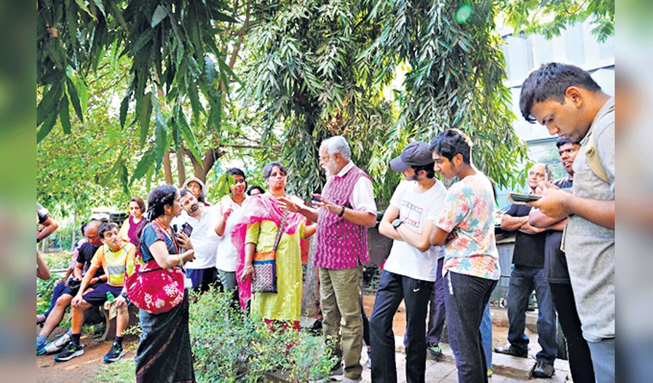 World Heritage Day week kicks off