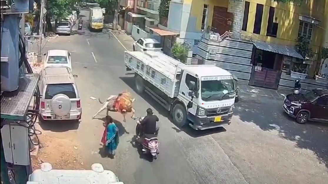 Bull Pounces On Scooter In Bengaluru, Trucker's Quick Thinking Saves Rider