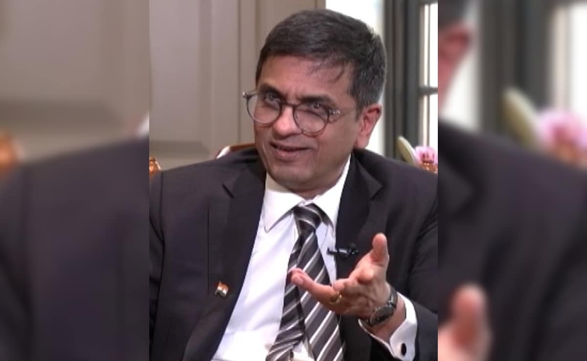 Premier Probe Agencies "Spread Too Thin": Justice DY Chandrachuds Advice