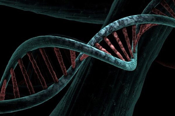 Airborne DNA Can Be Extracted To Be Used For Forensic Analysis, Study Finds