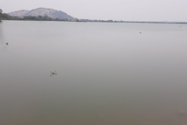 Ramasamudram Cheruvu stands out in summer with brimming water