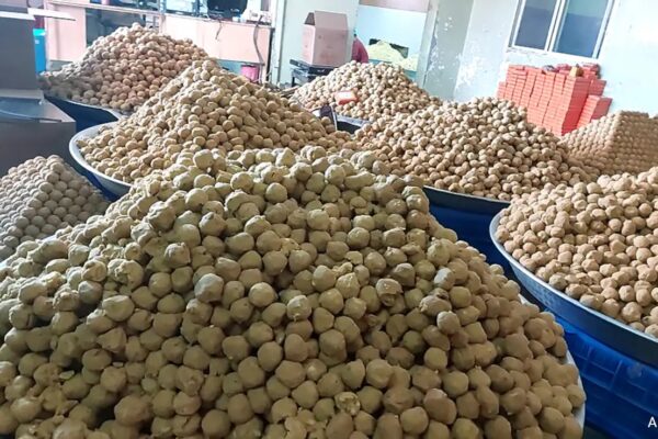 1,11,111 Kg Laddus To Be Sent To Ayodhya Temple As Prasad For Ram Navami