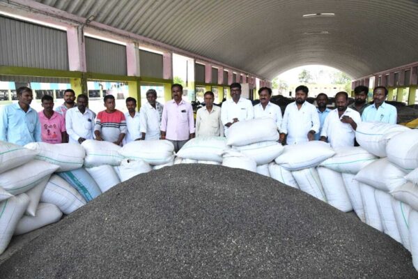 Continue procurement of Sunflower in Siddipet: Farmers